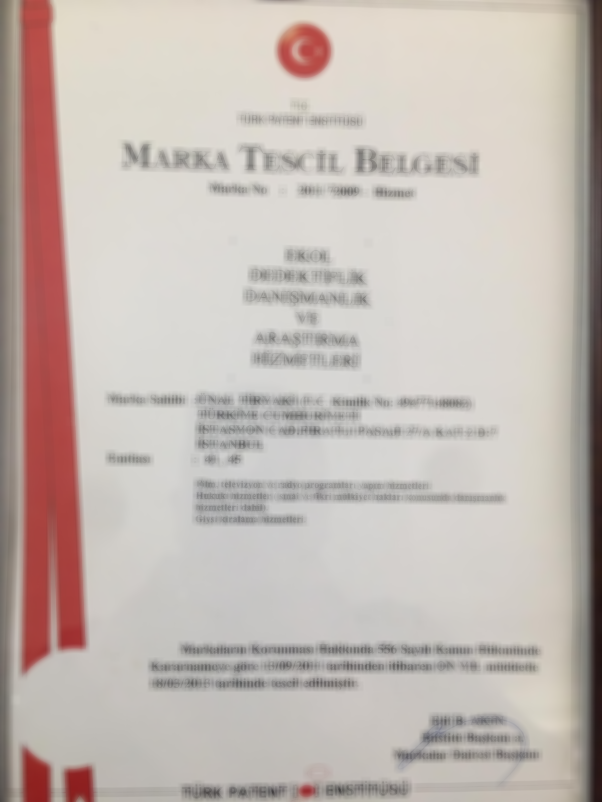 özel dedektif